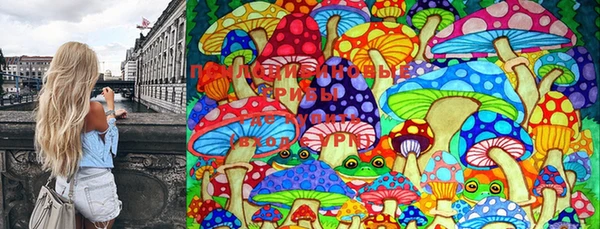 спайс Арсеньев